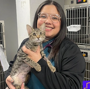 Smiling veterinary staff member holding a young brown tabby kitten inside a clinic room.