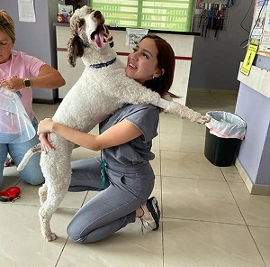 Veterinary assistant kneeling on the floor and hugging a happy, standing poodle mix dog.